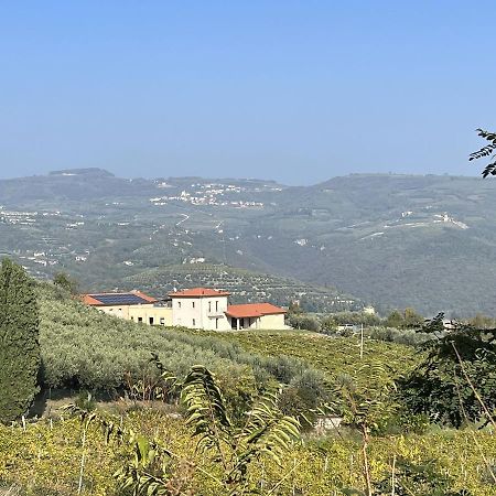 Suite La Torretta - Ca' Del Volo Grezzana Extérieur photo