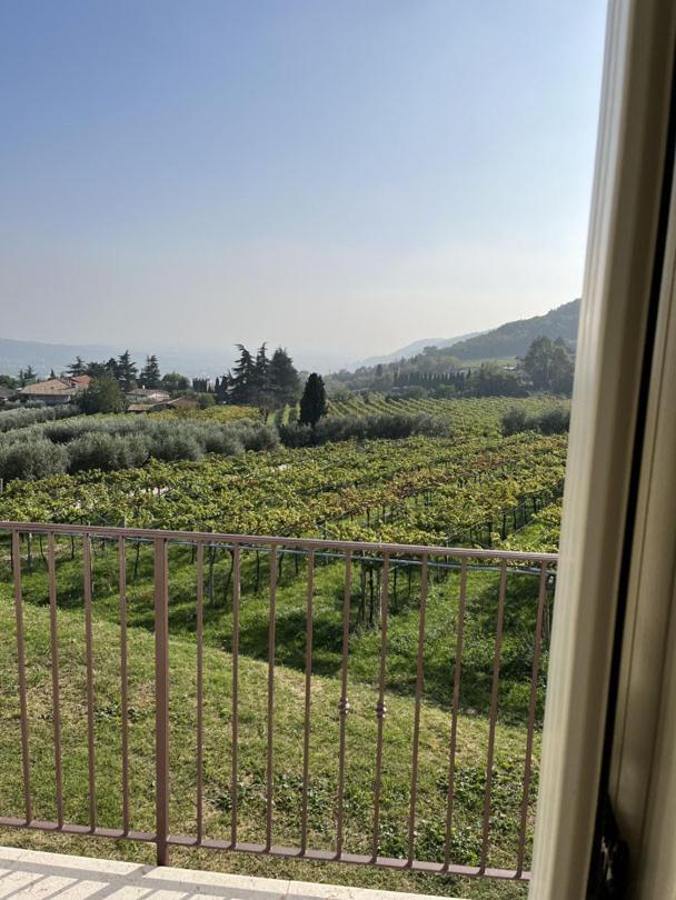 Suite La Torretta - Ca' Del Volo Grezzana Extérieur photo